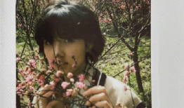 娱乐圈吃瓜爆料张新成,揭秘背后的真相与争议